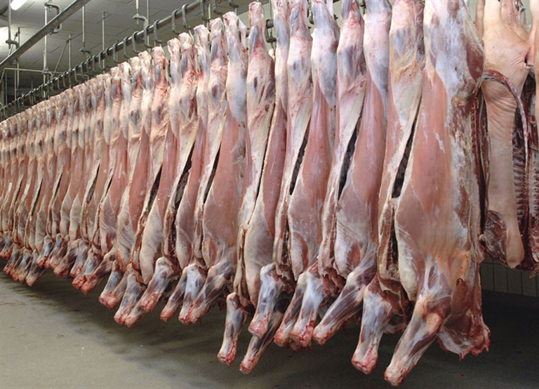 Befukting av slakterier